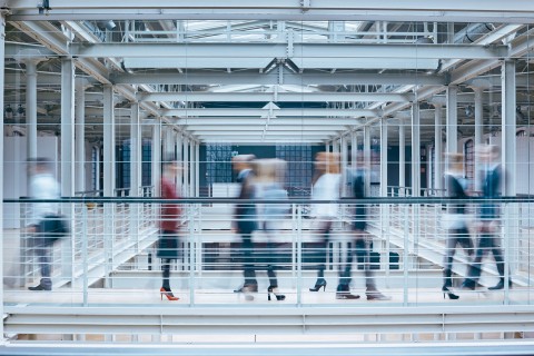 Strategic IP Management