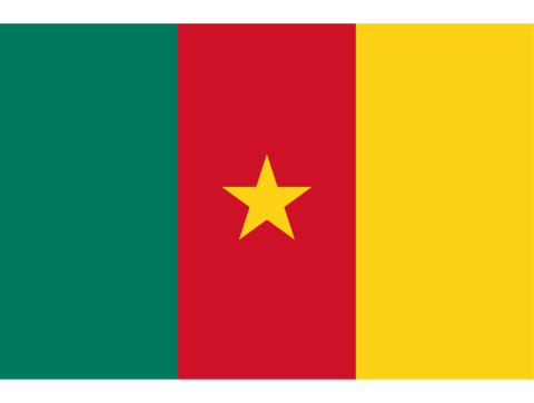 cameroon _countryflag